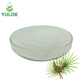 Saw Palmetto Extract Manufacturer - Wholesale Organic 100% Pure Natural