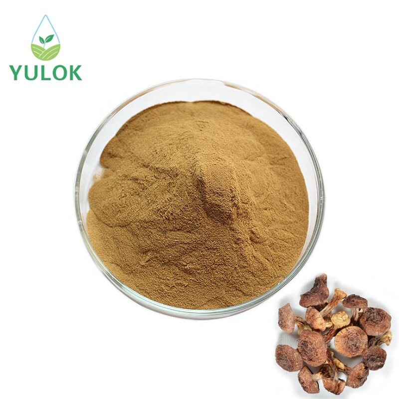 Agaricus Blazei Murrill Extract Manufacturer - Hot Sale Natural Organic 10% -50% Polysaccharide