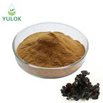 Black Fungus Extract Powder Manufacturer - 10%-50% Polysaccharide Auricularia Auricula