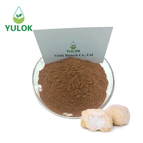 Lion's Mane Mushroom Extract Manufacturer - 100% Pure Hericium Erinaceus Powder