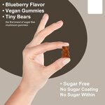 Mushroom Gummies Manufacturer - Food Supplements Organic Functional Complex