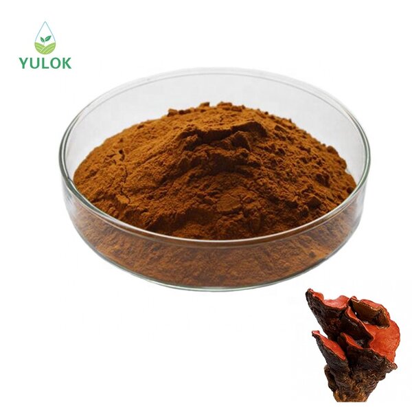 Antrodia Camphorata Extract Powder Manufacturer - Wholesale Bulk High Security Natural Organic