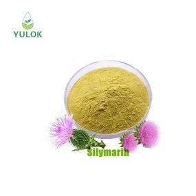Milk Thistle Extract Powder Manufacturer - 100% Natural High Quality Organic 80% Silymarin