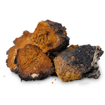 Chaga Extract Powder Manufacturer - Low Price Pure Natural Plant Extracts