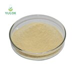 Beta Glucan Powder Manufacturer - Factory Supply Food Grade 100% Nature Yeast 80%