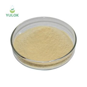 Beta Glucan Powder Manufacturer - Factory Supply Food Grade 100% Nature Yeast 80%