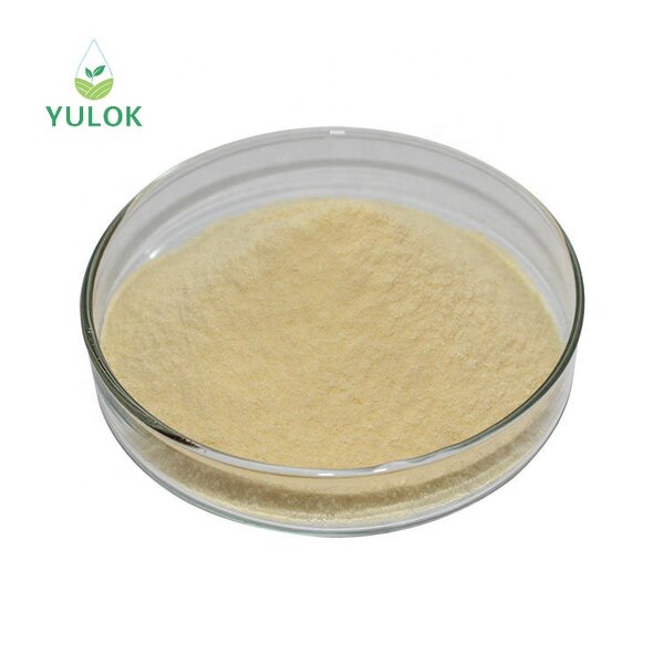 Beta Glucan Powder Manufacturer - Factory Supply Food Grade 100% Nature Yeast 80%