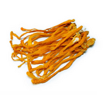 Cordyceps Powder Manufacturer - Wholesale Multipurpose Militaris Mushroom Extract