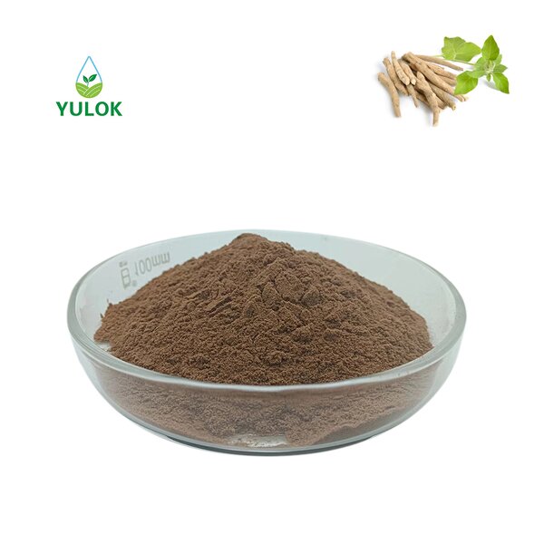 Ashwagandha Root Extract Powder Manufacturer - 1% -10% Withanolides Withania Somnifera