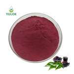Elderberry Extract Powder Manufacturer - 100% High Quality Anthocyanidins 25%
