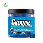 Creatine Monohydrate Gummies Manufacturer - OEM Custom Sports Nutrition