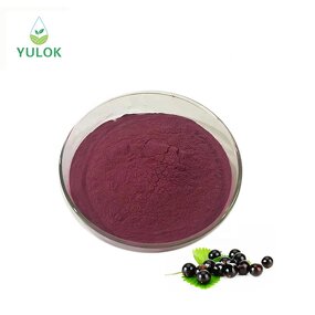 Black Currant Fruit Extract Powder Manufacturer - High Quality Organic Juice Concentrate