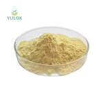 Folic Acid Powder Manufacturer - Manufacturers Price Natural Vitamin B9 Food Supplement