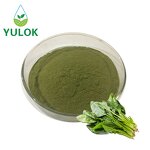 Spinach Extract Powder Manufacturer - High Quality Vegetable Green Juice Powder