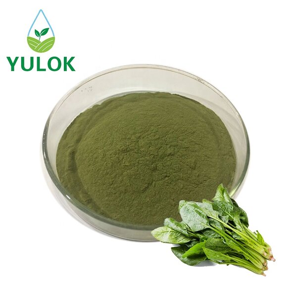 Spinach Extract Powder Manufacturer - High Quality Vegetable Green Juice Powder