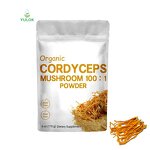 Cordyceps Powder Manufacturer - Wholesale Multipurpose Militaris Mushroom Extract