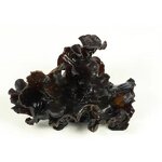 Black Fungus Extract Powder Manufacturer - 10%-50% Polysaccharide Auricularia Auricula