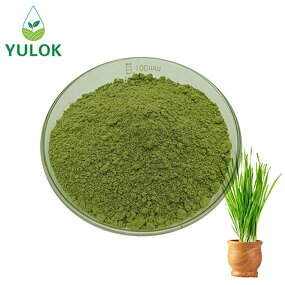 Barley Grass Powder Manufacturer - Factory Supply Easy to Brew Organic Greens