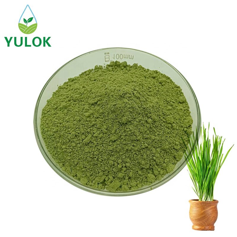 Barley Grass Powder Manufacturer - Factory Supply Easy to Brew Organic Greens