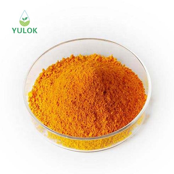 Coenzyme Q10 Powder Manufacturer - Hot Sell High Quality Multipurpose Food Grade