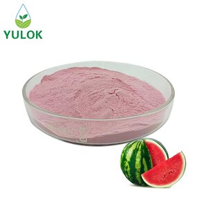Watermelon Fruit Extract Powder Manufacturer - 100% Pure Natural Juice Powder