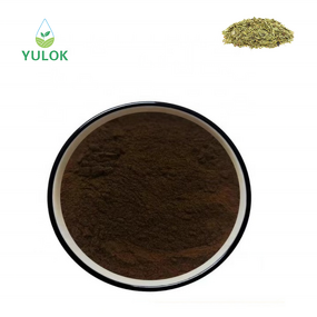 Senna Leaf Extract Powder Manufacturer - High Quality 6%-20% Sennoside for Weight Loss