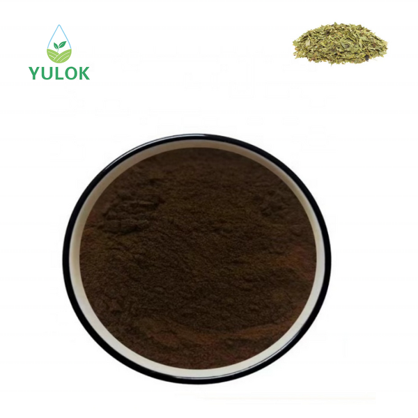 Senna Leaf Extract Powder Manufacturer - High Quality 6%-20% Sennoside for Weight Loss