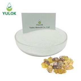 Boswellia Extract Powder Manufacturer - Factory Supply 65% 95% Boswellic Acid