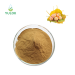 Ginkgo Biloba Leaf Extract Powder Manufacturer - Hot Sales 24% Flavone Glycosides