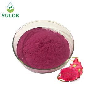 Red Dragon Fruit Powder Manufacturer - High Quality Pitaya Powder