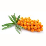 Sea Buckthorn Fruit Powder Manufacturer - Food Grade 100% Natural Extract
