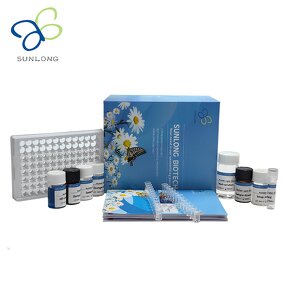 ELISA Kit Manufacturer - Chicken Heat Shock Protein 20 HSP-20 Small Stress Protein