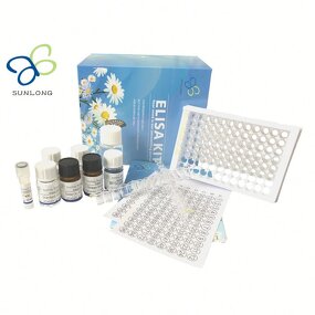 ELISA Kit Manufacturer - Chicken Infectious Coryza ic Bacterial Disease