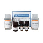 Assay Kit Manufacturer - Superoxide Anion Oxidative Stress Activity Assay