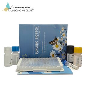 ELISA Kit Manufacturer - Mouse IL-6 One-Step Interleukin 6 Cytokine Detection