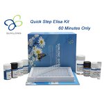 ELISA Kit Manufacturer - Quick Step Chicken Parainfluenza Virus PIV Detection