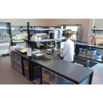 ELISA Kit Manufacturer - Human IL-10 One-Step Interleukin 10 Anti-inflammatory