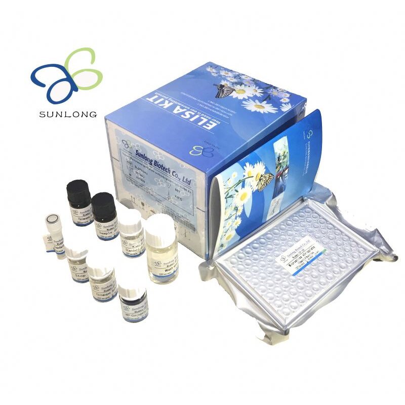 ELISA Kit Manufacturer - Rabbit VCAM-1 Vascuolar Cell Adhesion Molecule 1