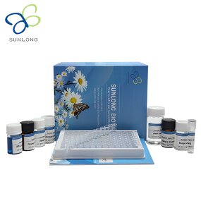 ELISA Kit Manufacturer - Porcine IGF-1 Insulin-like Growth Factors-1