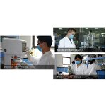 ELISA Kit Manufacturer - Mouse Adrenomedullin ADM Vascular Peptide