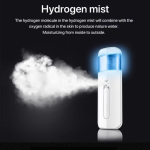 氢氧面部喷雾仪供应商-纳米喷雾抗氧化美容