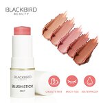 Blush Stick Manufacturer - No Logo Private Label 5 Colors Long Lasting Vegan Matte