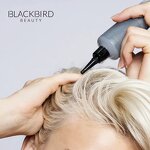 Scalp Scrub Manufacturer - Private Label Natural Deep Cleansing Charcoal Sea Salt Anti Dandruff