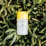 Sunscreen Stick Manufacturer - Wholesale Private Label 100% Vegan SPF30 Waterproof Anti UV