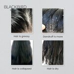 Scalp Exfoliating Scrub Manufacturer - Private Label Natural Anti Dandruff Charcoal Wholesale
