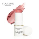 Blush Stick Manufacturer - No Logo Private Label 5 Colors Long Lasting Vegan Matte
