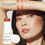 Blush Stick Manufacturer - No Logo Private Label 5 Colors Long Lasting Vegan Matte