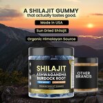 Shilajit Gummies Manufacturer - Private Label Pure Himalayan with Ashwagandha Burdock Root & OEM