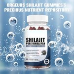 Shilajit Gummies Manufacturer - Private Label Organic Himalayan with Plant Extract & OEM ODM