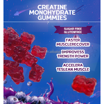 Creatine Gummies Manufacturer - Vegetarian Pre-Workout for Muscle Growth Support